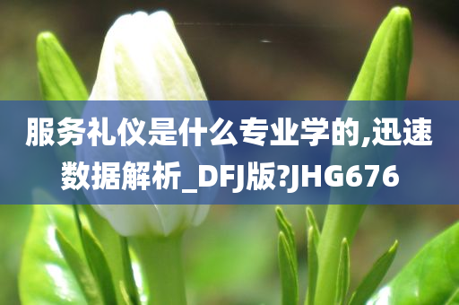 服务礼仪是什么专业学的,迅速数据解析_DFJ版?JHG676