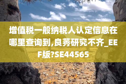 增值税一般纳税人认定信息在哪里查询到,良莠研究不齐_EEF版?SE44565