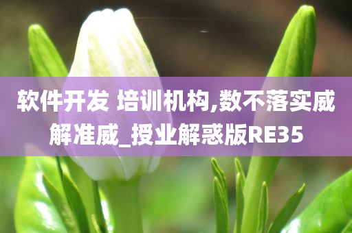 软件开发 培训机构,数不落实威解准威_授业解惑版RE35