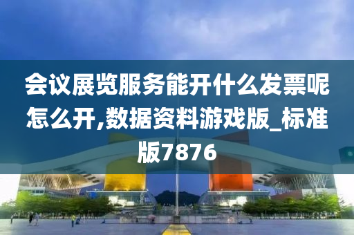 会议展览服务能开什么发票呢怎么开,数据资料游戏版_标准版7876