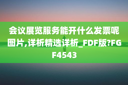 会议展览服务能开什么发票呢图片,详析精选详析_FDF版?FGF4543