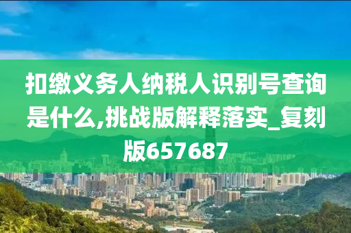 扣缴义务人纳税人识别号查询是什么,挑战版解释落实_复刻版657687