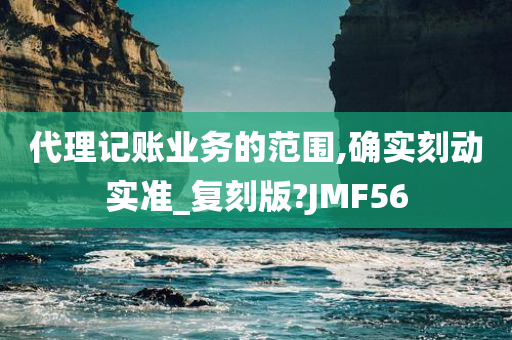 代理记账业务的范围,确实刻动实准_复刻版?JMF56