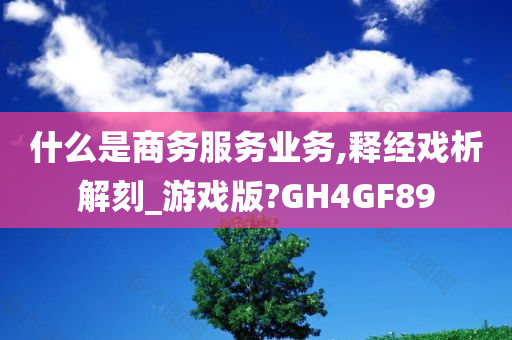 什么是商务服务业务,释经戏析解刻_游戏版?GH4GF89