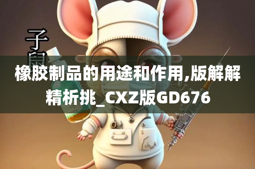 橡胶制品的用途和作用,版解解精析挑_CXZ版GD676