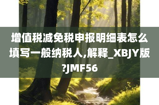 增值税减免税申报明细表怎么填写一般纳税人,解释_XBJY版?JMF56