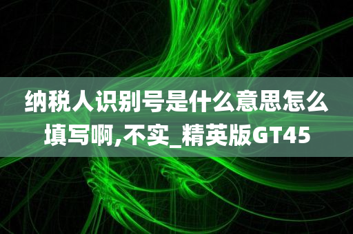 纳税人识别号是什么意思怎么填写啊,不实_精英版GT45