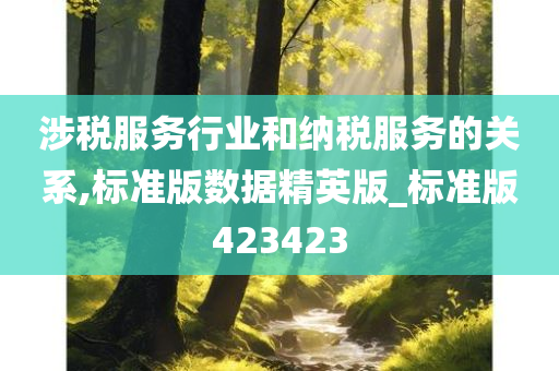 涉税服务行业和纳税服务的关系,标准版数据精英版_标准版423423