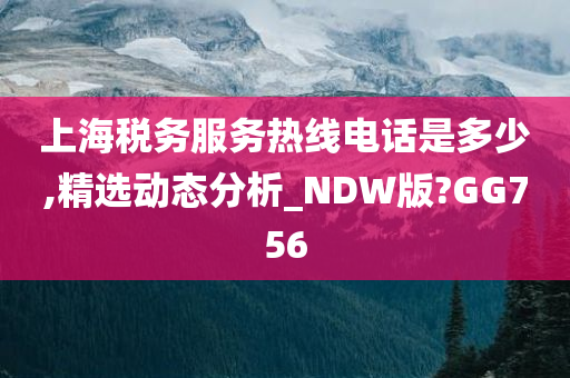 上海税务服务热线电话是多少,精选动态分析_NDW版?GG756