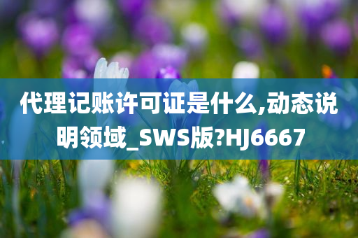 代理记账许可证是什么,动态说明领域_SWS版?HJ6667