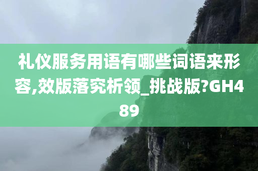 礼仪服务用语有哪些词语来形容,效版落究析领_挑战版?GH489