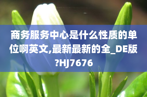 商务服务中心是什么性质的单位啊英文,最新最新的全_DE版?HJ7676