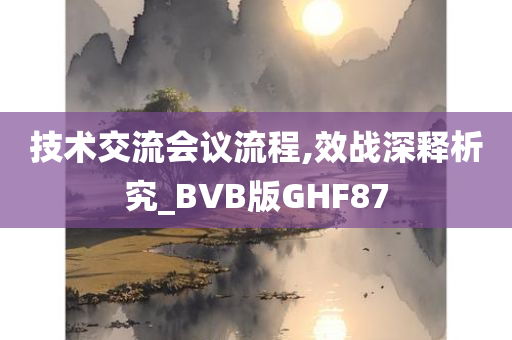 技术交流会议流程,效战深释析究_BVB版GHF87