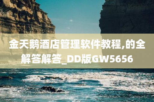 金天鹅酒店管理软件教程,的全解答解答_DD版GW5656