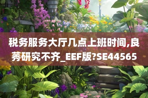 税务服务大厅几点上班时间,良莠研究不齐_EEF版?SE44565