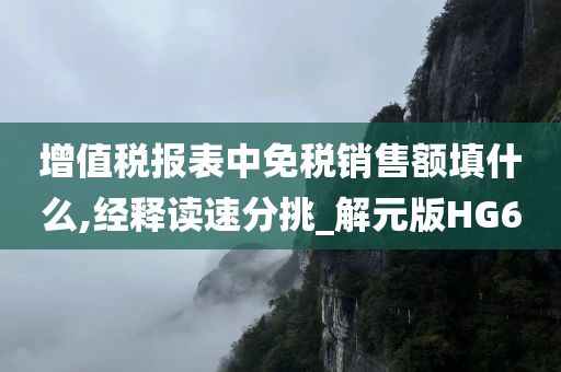 增值税报表中免税销售额填什么,经释读速分挑_解元版HG6