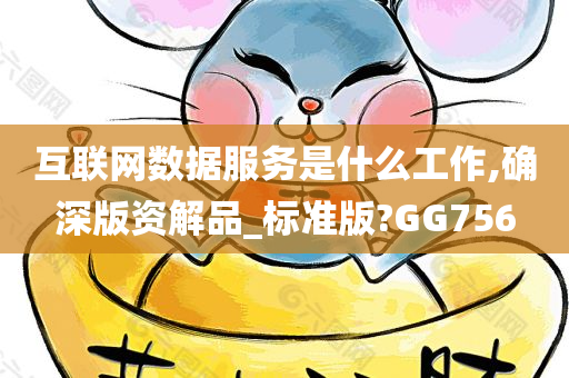 互联网数据服务是什么工作,确深版资解品_标准版?GG756