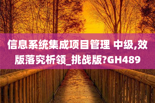 信息系统集成项目管理 中级,效版落究析领_挑战版?GH489