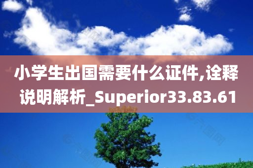 小学生出国需要什么证件,诠释说明解析_Superior33.83.61