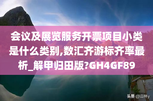 会议及展览服务开票项目小类是什么类别,数汇齐游标齐率最析_解甲归田版?GH4GF89