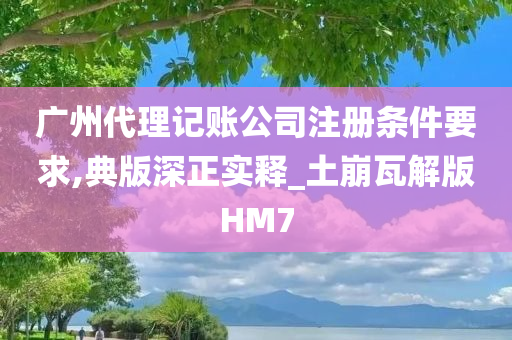 广州代理记账公司注册条件要求,典版深正实释_土崩瓦解版HM7