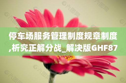 停车场服务管理制度规章制度,析究正解分战_解决版GHF87