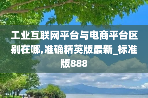 工业互联网平台与电商平台区别在哪,准确精英版最新_标准版888