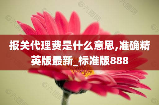 报关代理费是什么意思,准确精英版最新_标准版888