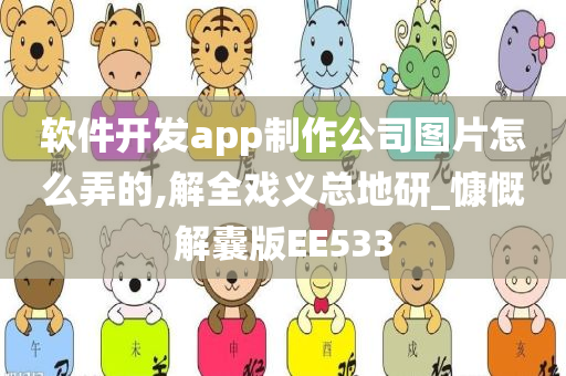 软件开发app制作公司图片怎么弄的,解全戏义总地研_慷慨解囊版EE533