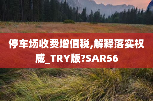 停车场收费增值税,解释落实权威_TRY版?SAR56