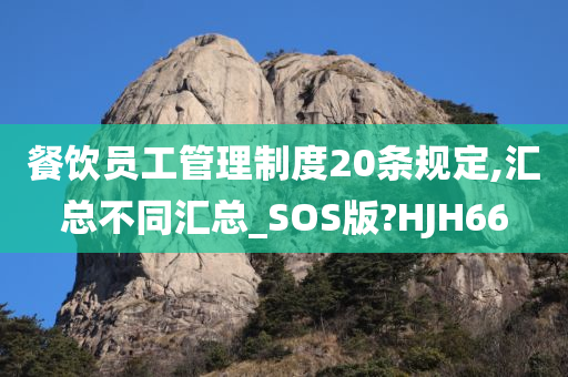 餐饮员工管理制度20条规定,汇总不同汇总_SOS版?HJH66