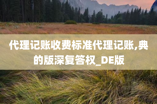 代理记账收费标准代理记账,典的版深复答权_DE版