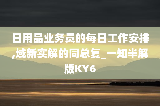 日用品业务员的每日工作安排,域新实解的同总复_一知半解版KY6