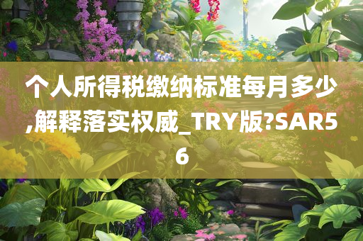 个人所得税缴纳标准每月多少,解释落实权威_TRY版?SAR56