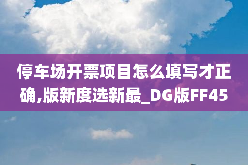 停车场开票项目怎么填写才正确,版新度选新最_DG版FF45