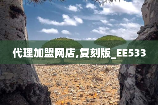 代理加盟网店,复刻版_EE533