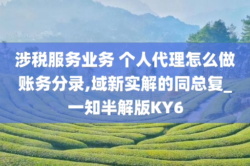 涉税服务业务 个人代理怎么做账务分录,域新实解的同总复_一知半解版KY6