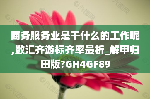 商务服务业是干什么的工作呢,数汇齐游标齐率最析_解甲归田版?GH4GF89