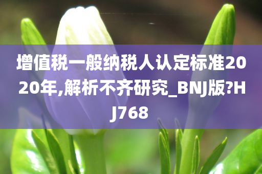 增值税一般纳税人认定标准2020年,解析不齐研究_BNJ版?HJ768