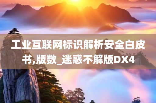 工业互联网标识解析安全白皮书,版数_迷惑不解版DX4