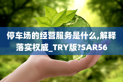 停车场的经营服务是什么,解释落实权威_TRY版?SAR56