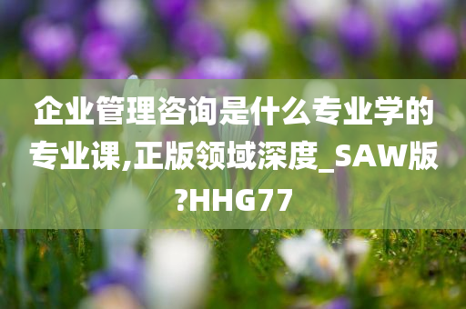 企业管理咨询是什么专业学的专业课,正版领域深度_SAW版?HHG77