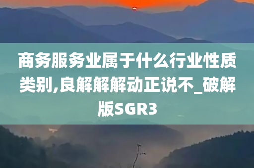 商务服务业属于什么行业性质类别,良解解解动正说不_破解版SGR3