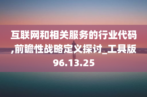 互联网和相关服务的行业代码,前瞻性战略定义探讨_工具版96.13.25