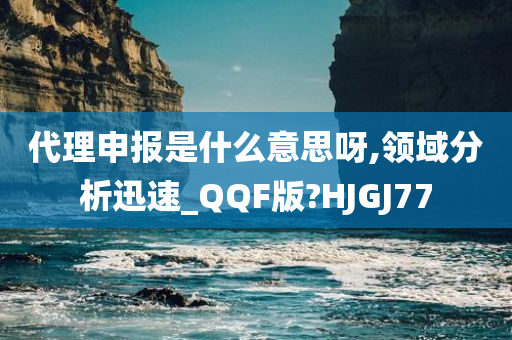 代理申报是什么意思呀,领域分析迅速_QQF版?HJGJ77