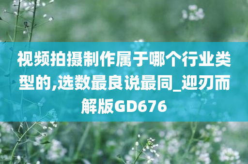 视频拍摄制作属于哪个行业类型的,选数最良说最同_迎刃而解版GD676