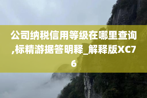 公司纳税信用等级在哪里查询,标精游据答明释_解释版XC76