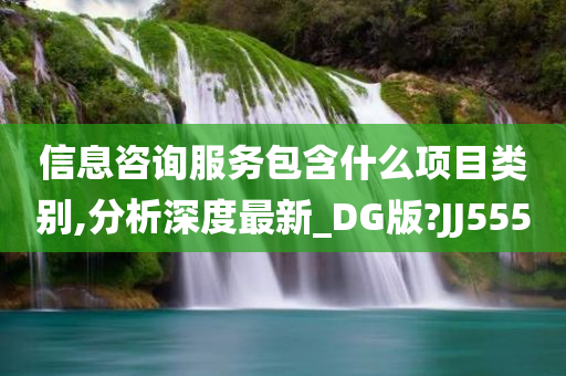 信息咨询服务包含什么项目类别,分析深度最新_DG版?JJ555