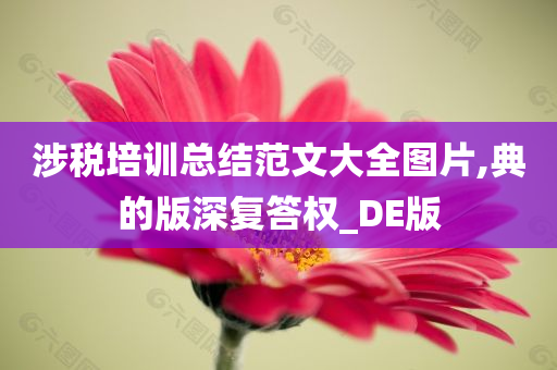 涉税培训总结范文大全图片,典的版深复答权_DE版