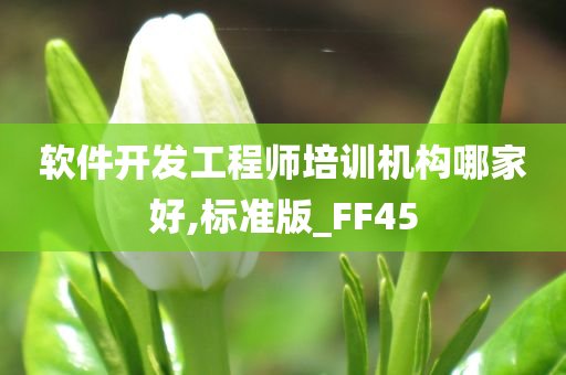 软件开发工程师培训机构哪家好,标准版_FF45